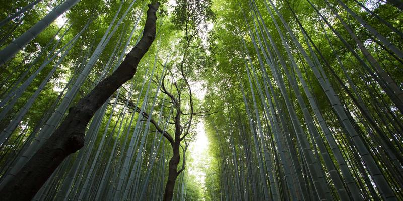 小泽玛利亚视频 架构实拍图